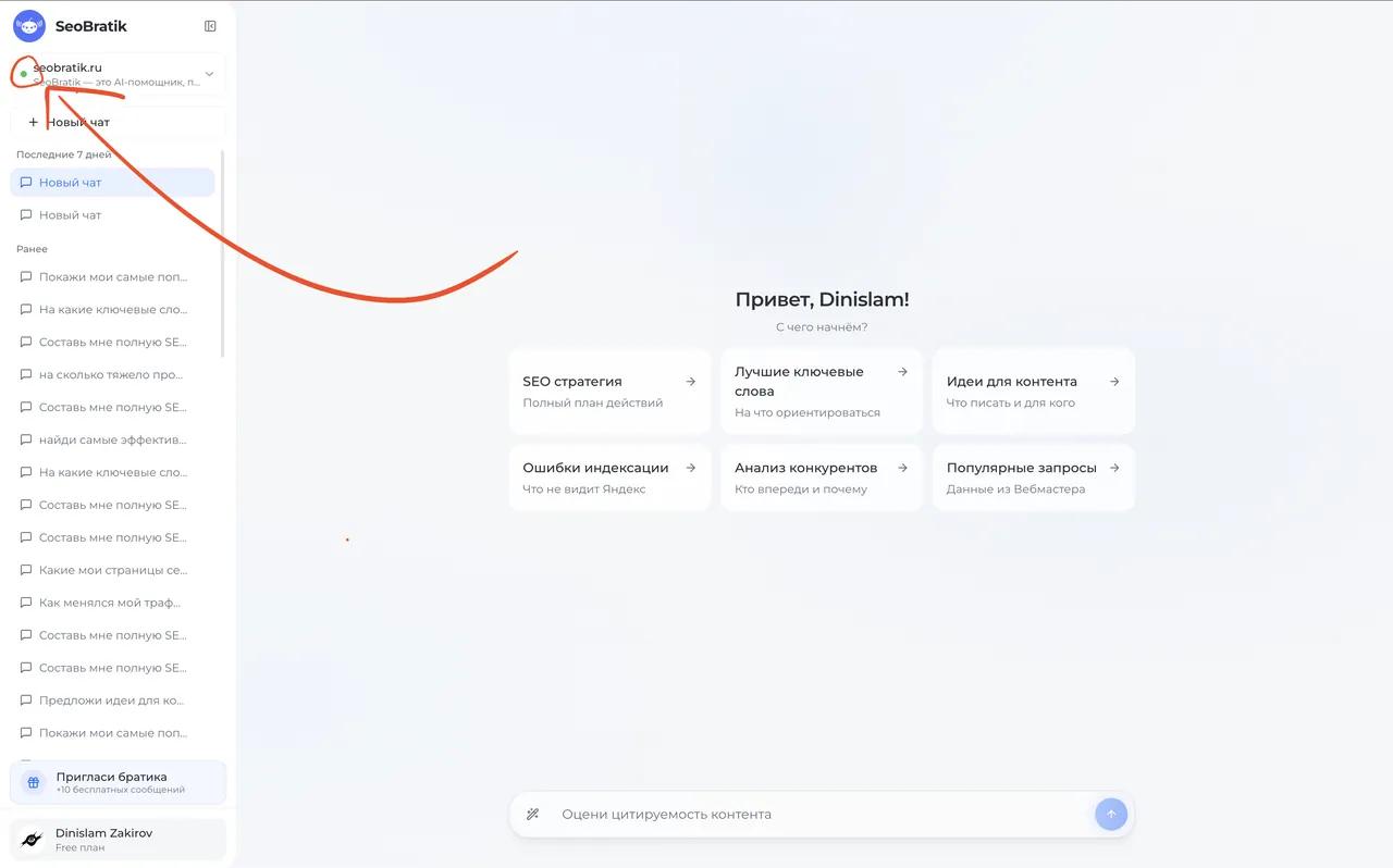 Чат SeoBratik с зелёным кружком рядом с названием сайта — Вебмастер подключён